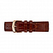 Waterbury Traditional 40mm Leather Strap - Brown